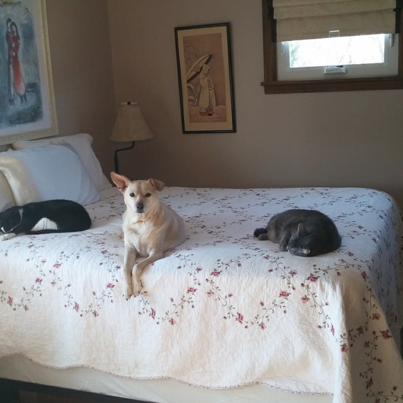 Meet your Posher, Merrie lee - Picture 3 of 4